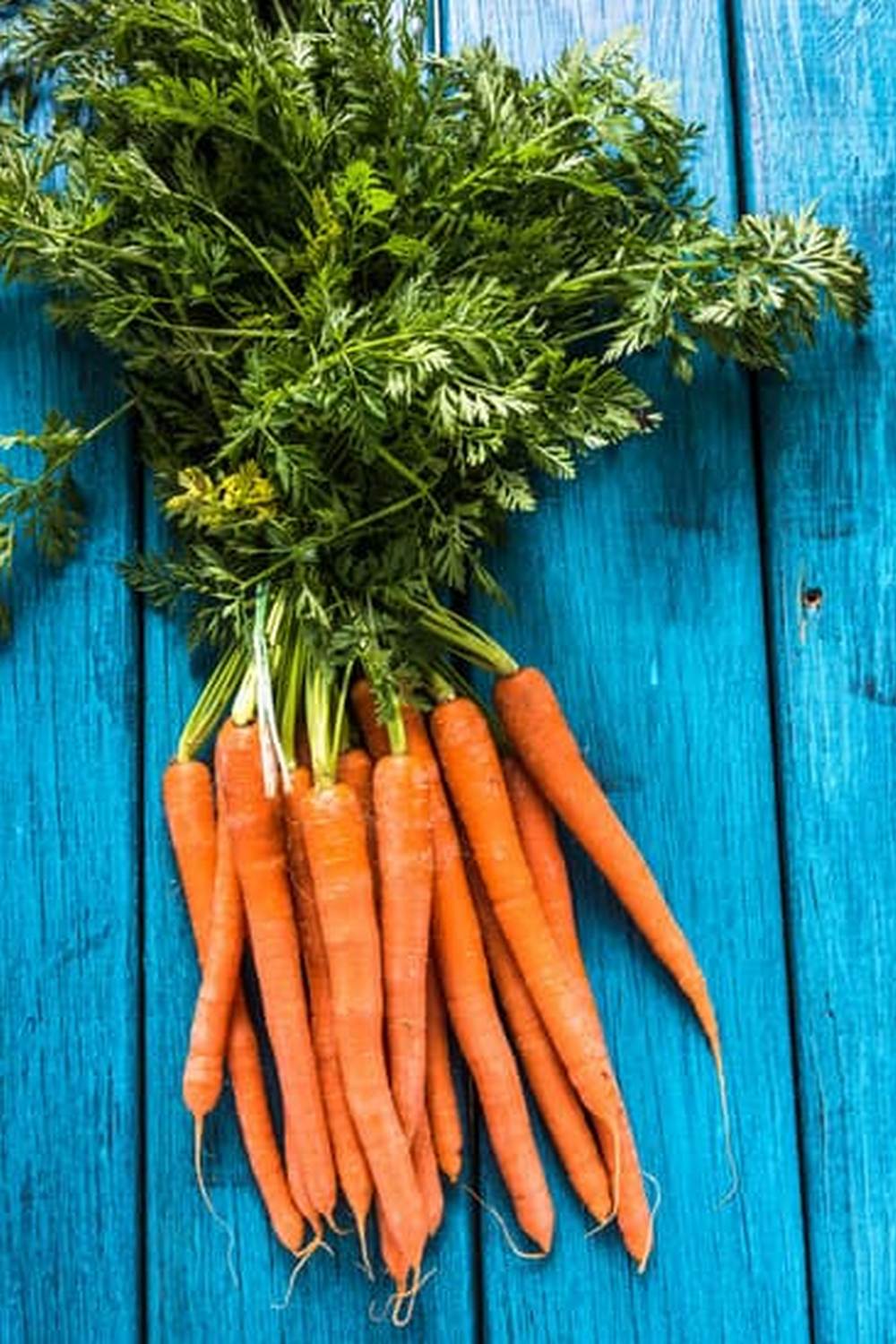 Beautiful Companion Flowers for Southern Vegetable Gardens - Enhance Diversity and Pest Control