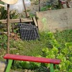 VEGETABLE GARDENING STEPS