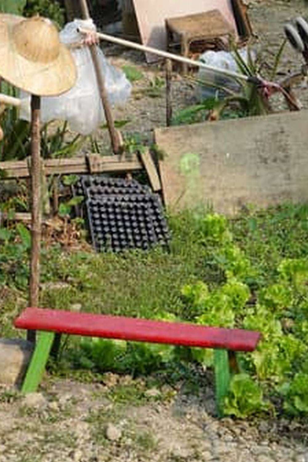 VEGETABLE GARDENING STEPS