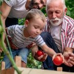 A Guide to the Best Picks for Your Garden