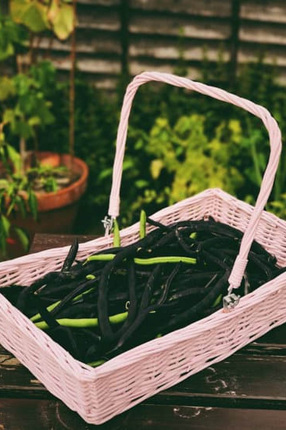 Tips for Growing Fresh Produce in Limited Space