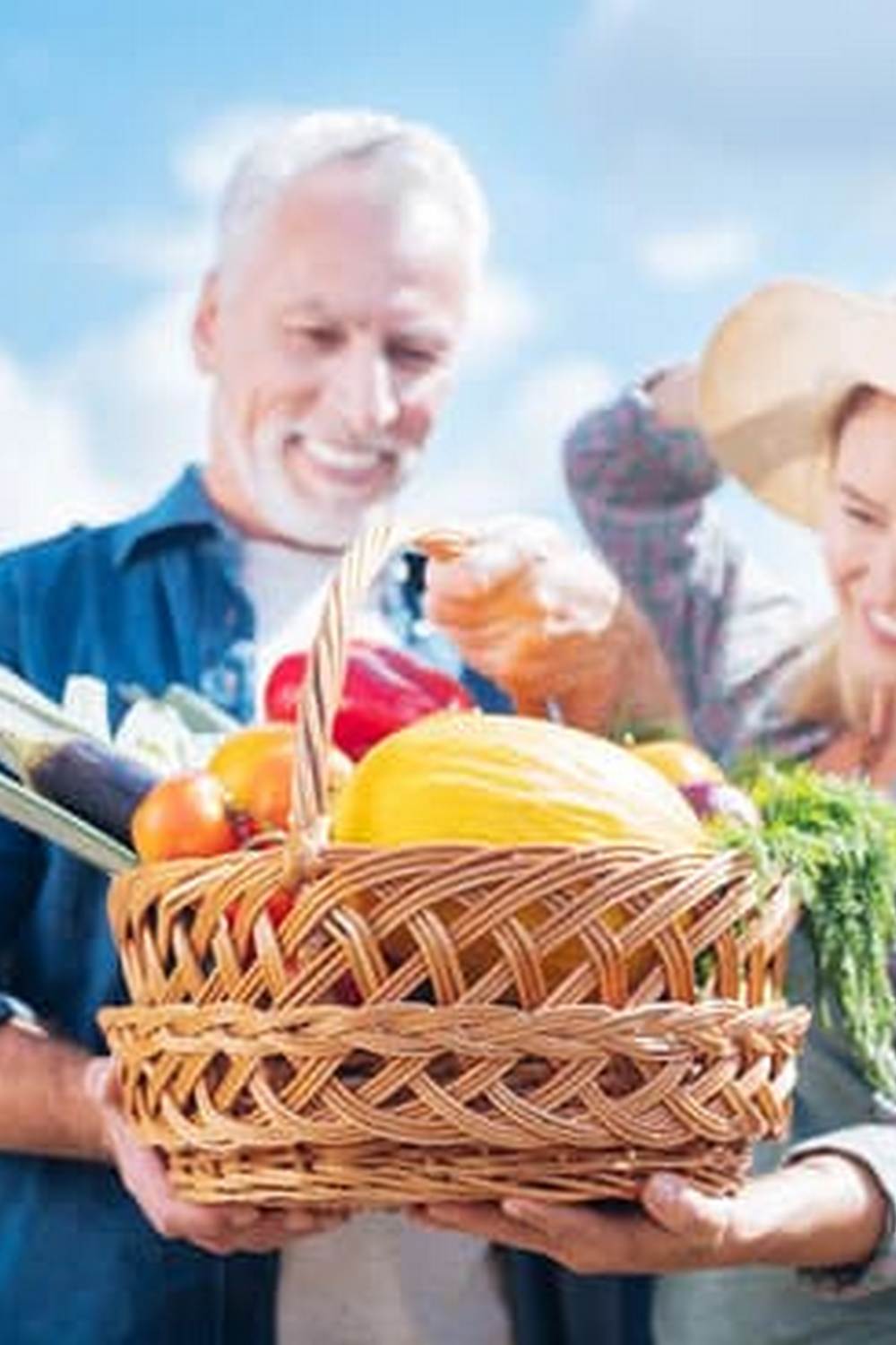 Judge rules government can ban vegetable gardens, impacting food security and personal freedom