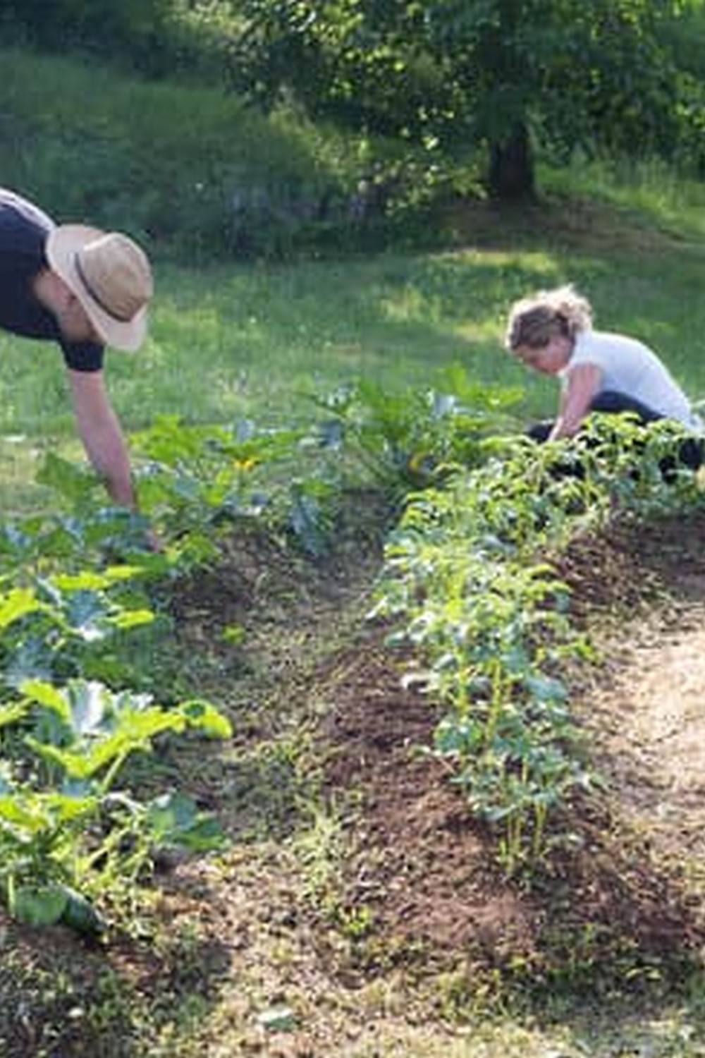 Innovative Solutions