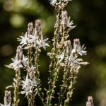 A Space-Saving Solution for Urban Living