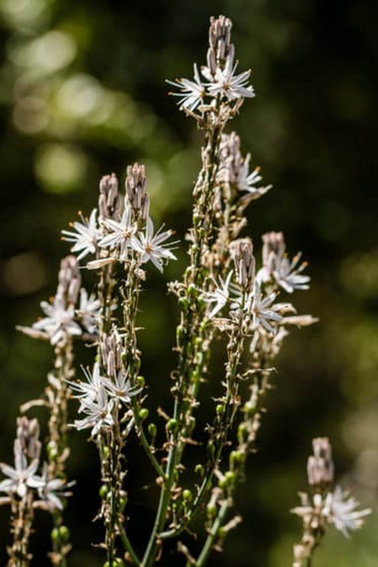 A Space-Saving Solution for Urban Living