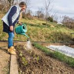 Abundant crops in a Northern Arizona vegetable garden