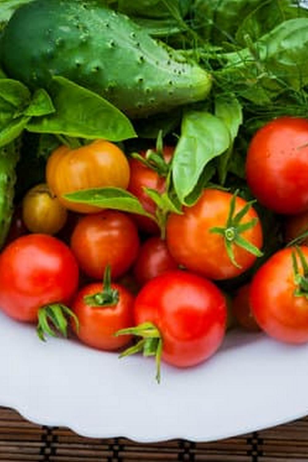 Optimal plant pairings for efficient, space-saving garden design