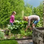 Colorful fall vegetable garden with pumpkins, squash, and kale ready for fall gardening