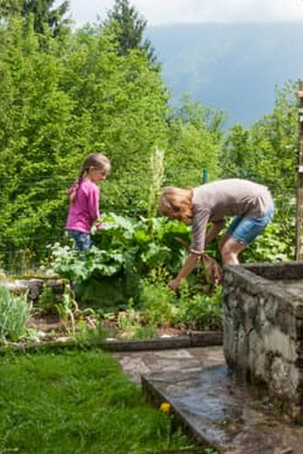 Colorful fall vegetable garden with pumpkins, squash, and kale ready for fall gardening