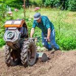 EASY INDOOR VEGETABLE CONTAINER GARDENING with minimal space