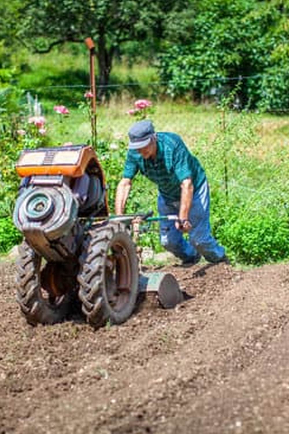 EASY INDOOR VEGETABLE CONTAINER GARDENING with minimal space