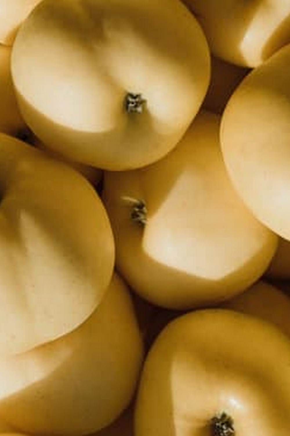 Colorful variety of vegetables arranged in a bowl, inspired by the artist Giuseppe Arcimboldo's work