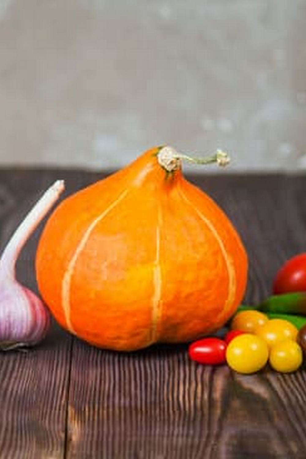 vegetable gardening ideas for beginners