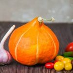 Vibrant organic New Zealand vegetable garden featuring a variety of crops and sustainable practices