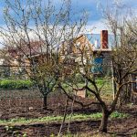 Reclaimed Water for Vegetable Gardens sustainable irrigation for a thriving organic harvest