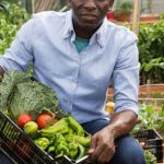 Tomatoes, Peppers, Herbs, and Lettuce in Compact Spaces