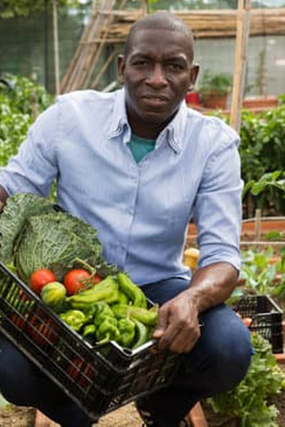 Vegetable Container Gardening Combinations 1 Tomatoes, Peppers, Herbs, and Lettuce in Compact Spaces