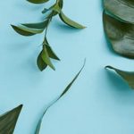 Colorful vegetable gardens thriving amidst nature - Copyright free