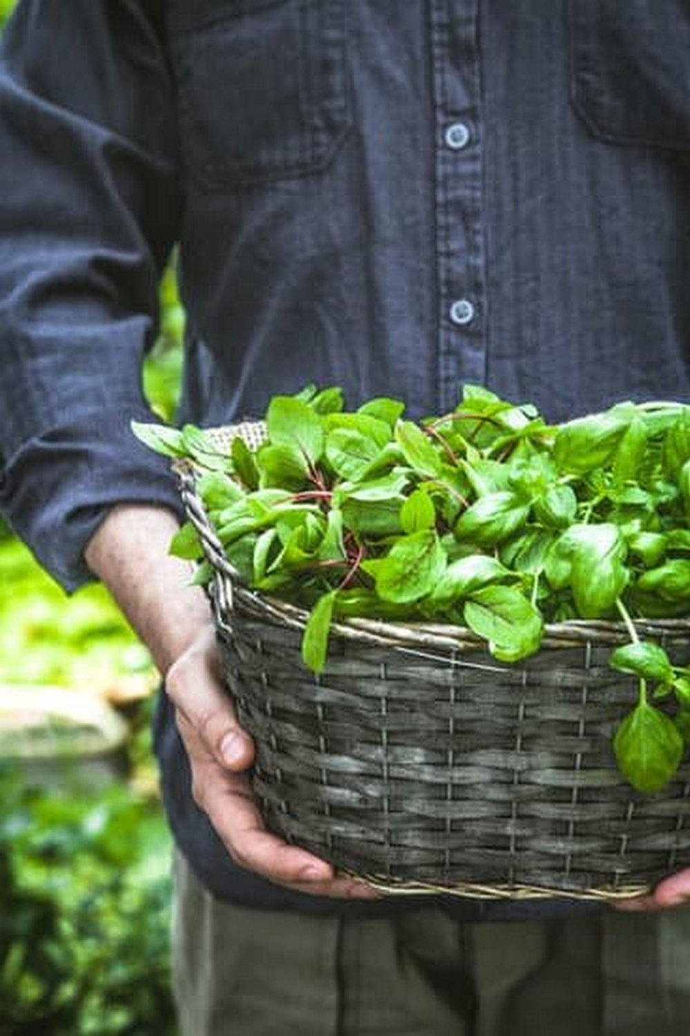 practical advice for growing your own produce successfully