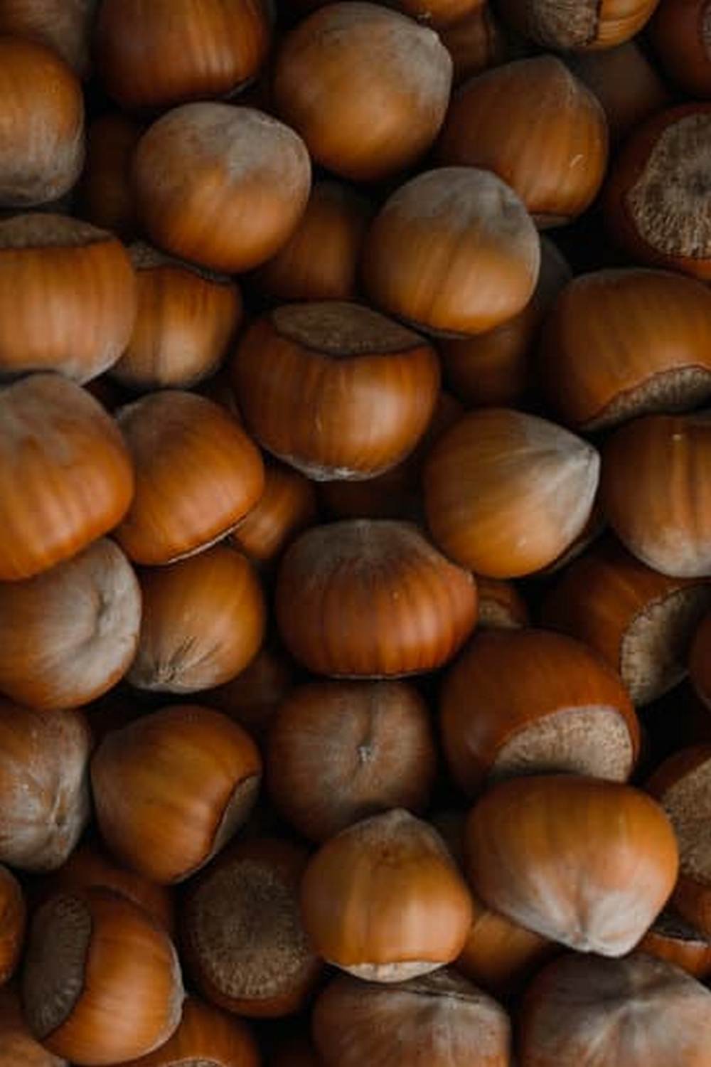 Maximize space with bathroom shelves for neat and organized vegetable gardens
