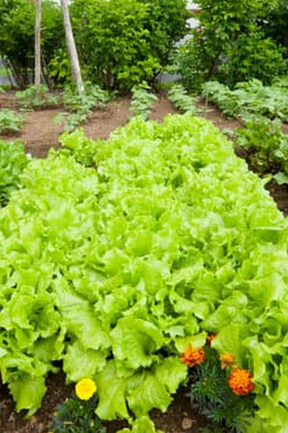 a comprehensive guide