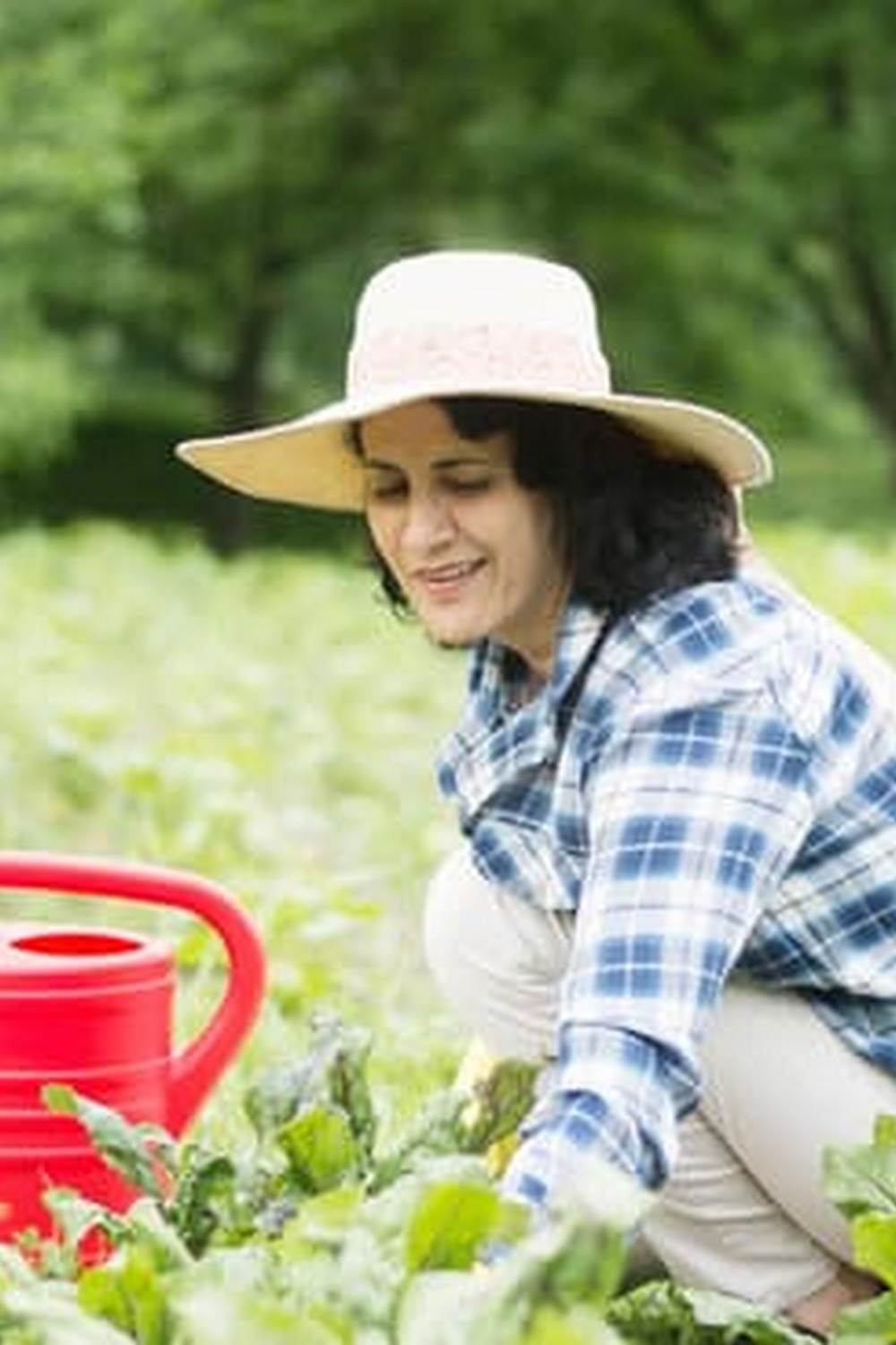 Beautiful container gardening with a mix of vegetables and flowers for small spaces