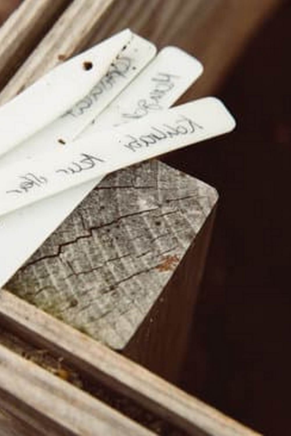 Tips & Techniques for Successful Harvests