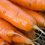 Hot Weather Vegetable Gardening choosing heat-tolerant varieties, proper watering, and shading