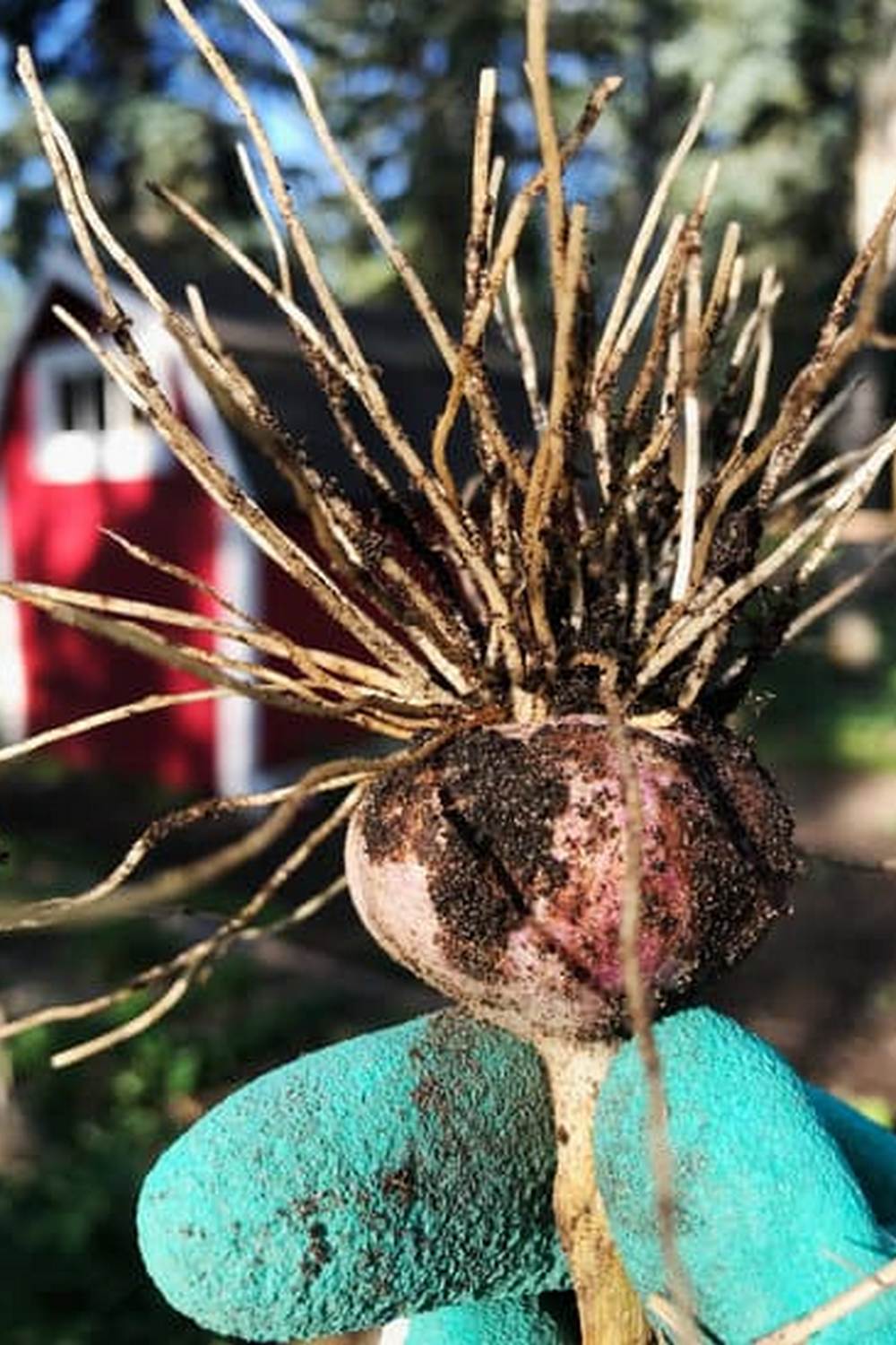 selecting and using the right materials