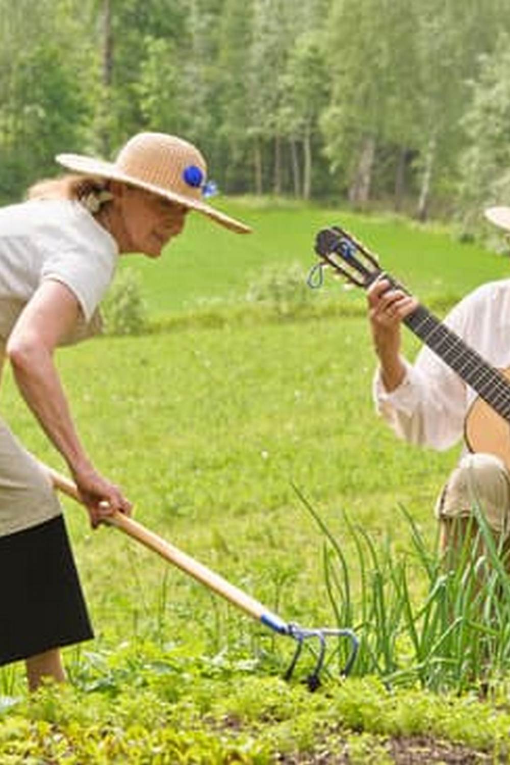 Detailed Guide to Vegetable Gardening for Beginners