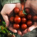 Small-space gardening tips for South Florida residents