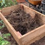 An essential guide for beginners on starting a successful vegetable garden