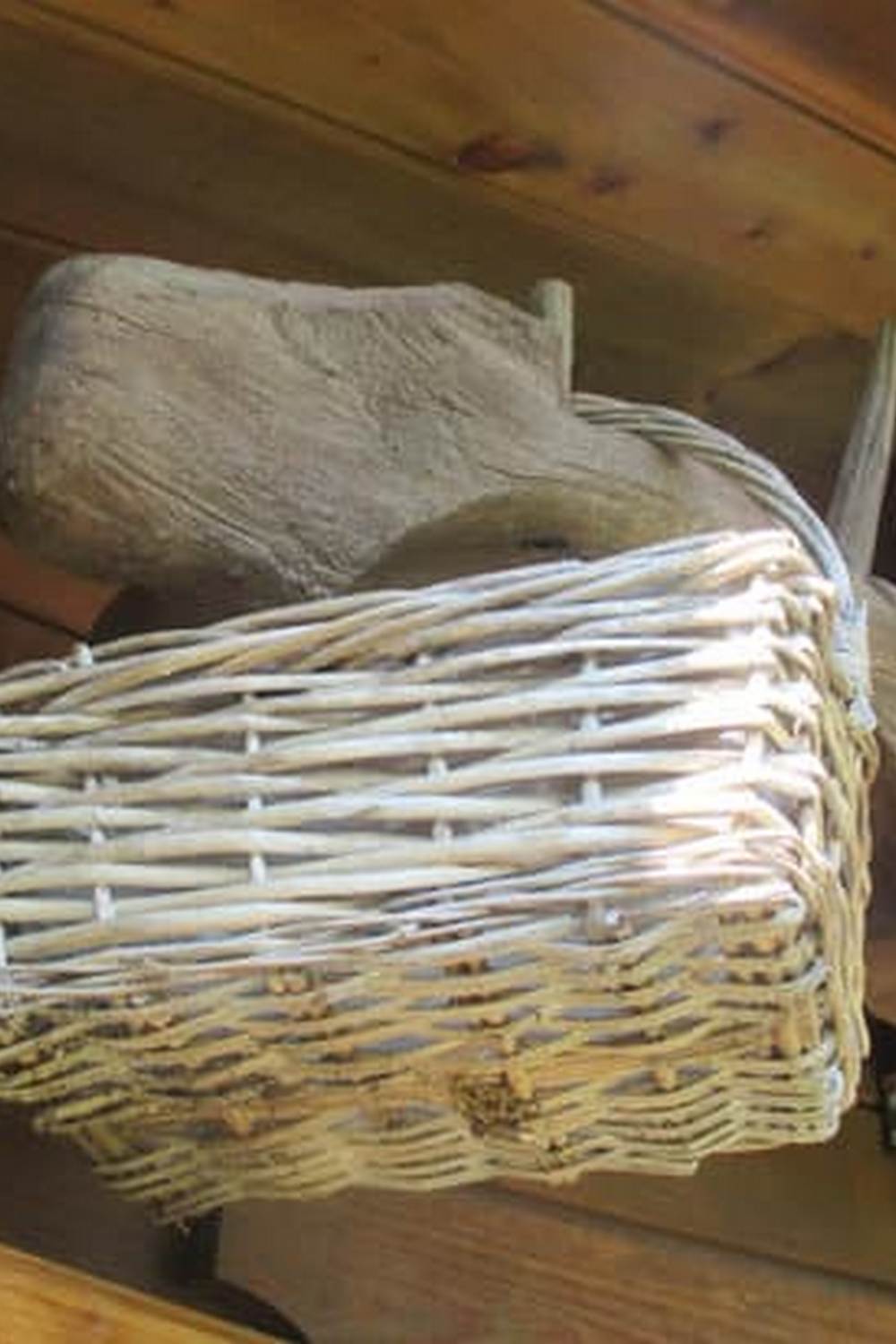 Explore new tips and techniques in Container Vegetable Gardening Magazine for successful urban gardening