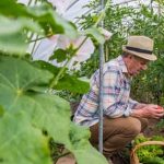 Explore a selection of Amazon Vegetable Gardening Books for beginners and experts alike