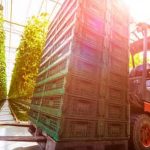 Tips for Success in Short Growing Season