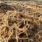 Homemade Vegetable Beef Soup recipe by Better Homes and Gardens