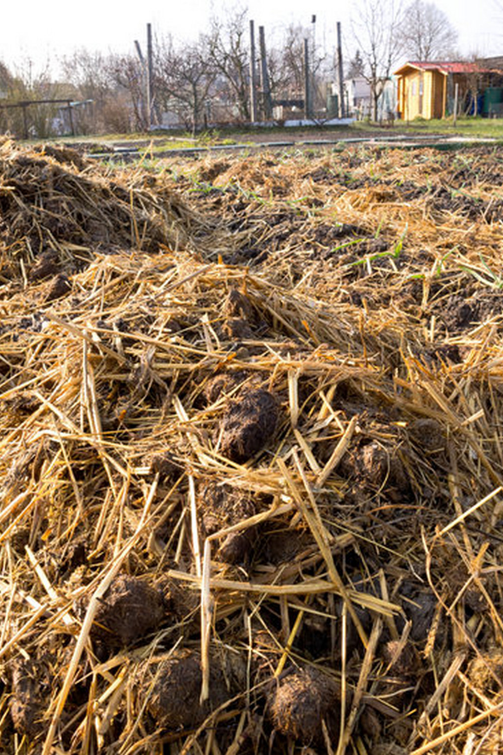 Homemade Vegetable Beef Soup recipe by Better Homes and Gardens
