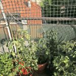 compact, durable and functional option for urban gardening