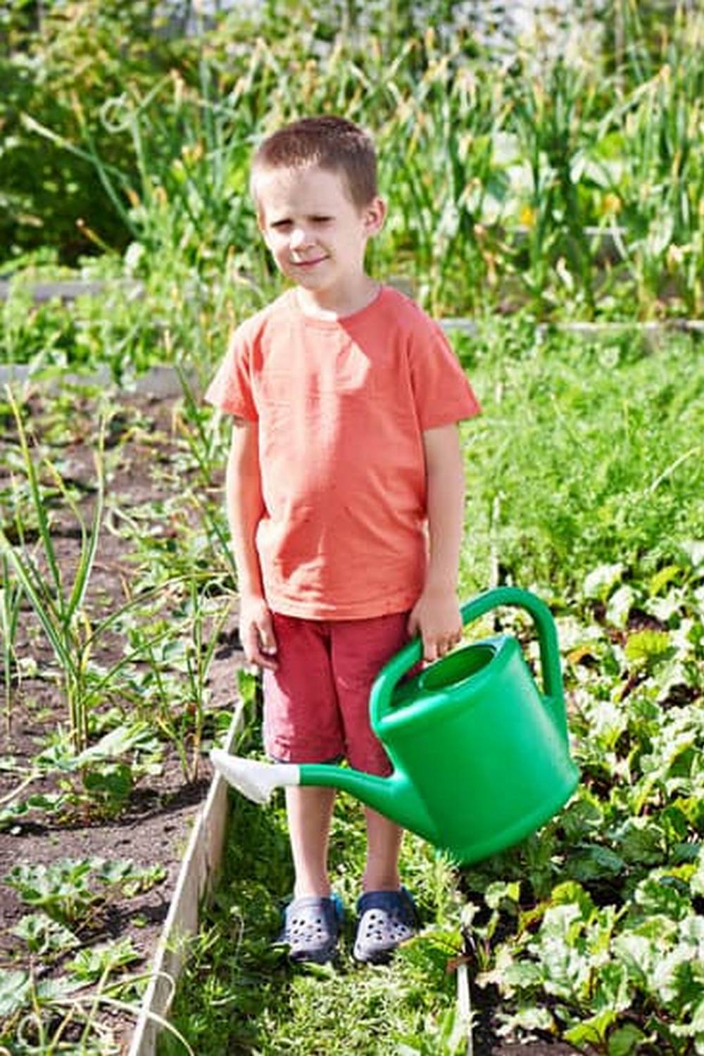 Indoor garden with fresh vegetables and herbs for sustainable, year-round harvest