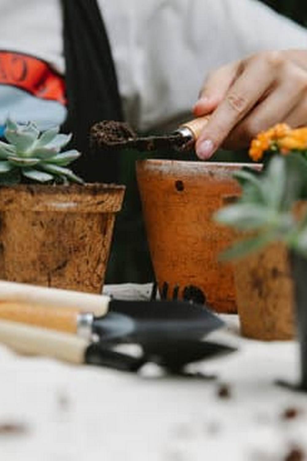 environmentally safe and easy to apply