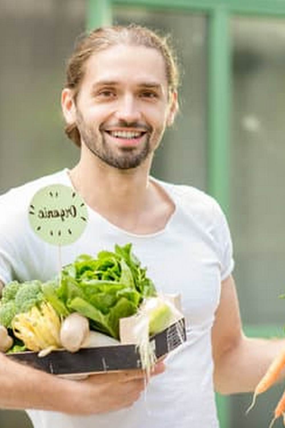 Vibrant end of summer vegetable gardens bursting with ripe tomatoes, colorful peppers, and lush greens