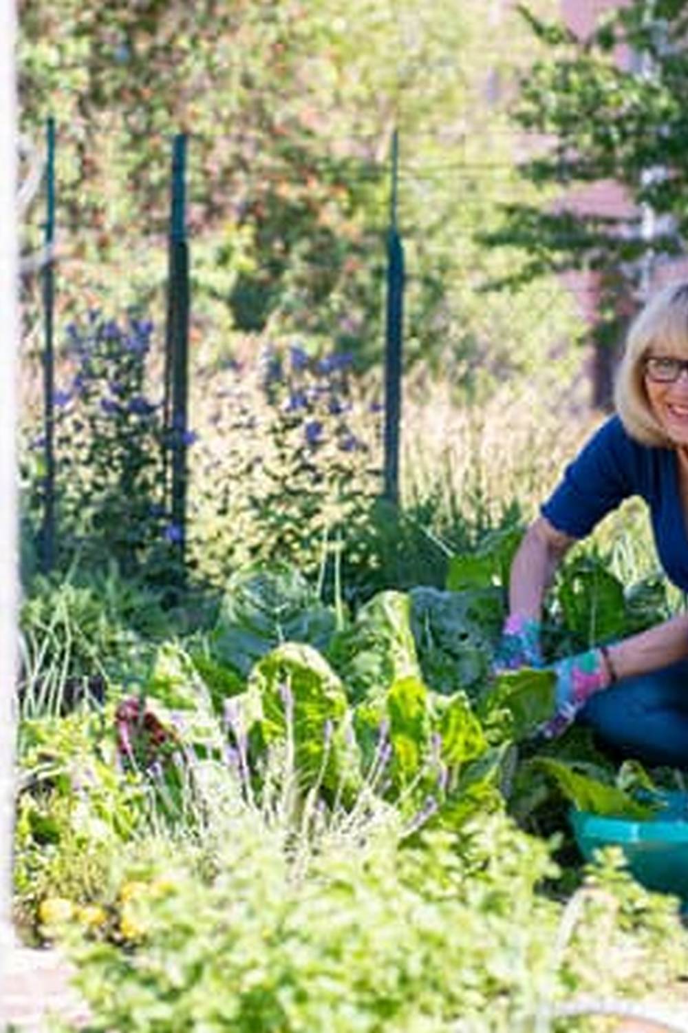 A Space-Saving Approach to Growing Fresh Produce at Home