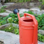 Weed control and moisture retention for healthier crops