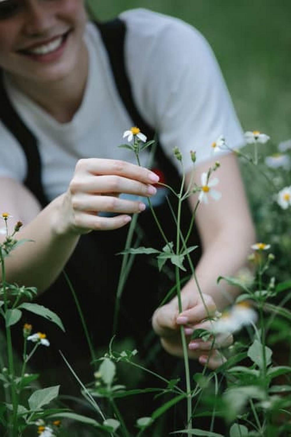 A Guide to Sustainable Living