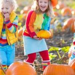 What Manure Is Best for Vegetable Gardening A Guide