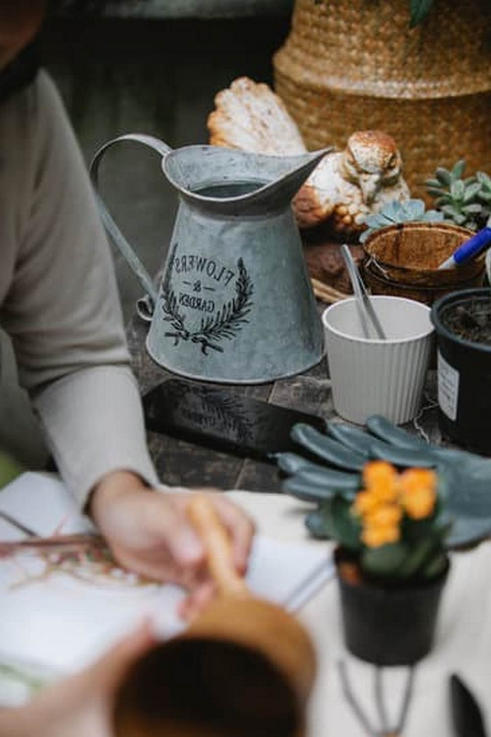 Natural pest controllers like ladybugs and lacewings improve garden health