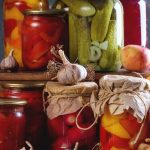 Beautiful and sustainable vegetable gardens made with paper, providing an eco-friendly twist to traditional gardening