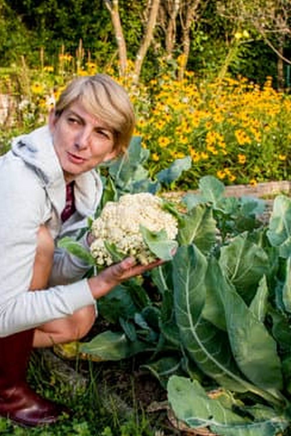 Virtual Vegetable Gardening - Plan, Grow, and Harvest Anytime, Anywhere