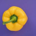 A colorful, space-saving oasis of fresh produce and vibrant blooms