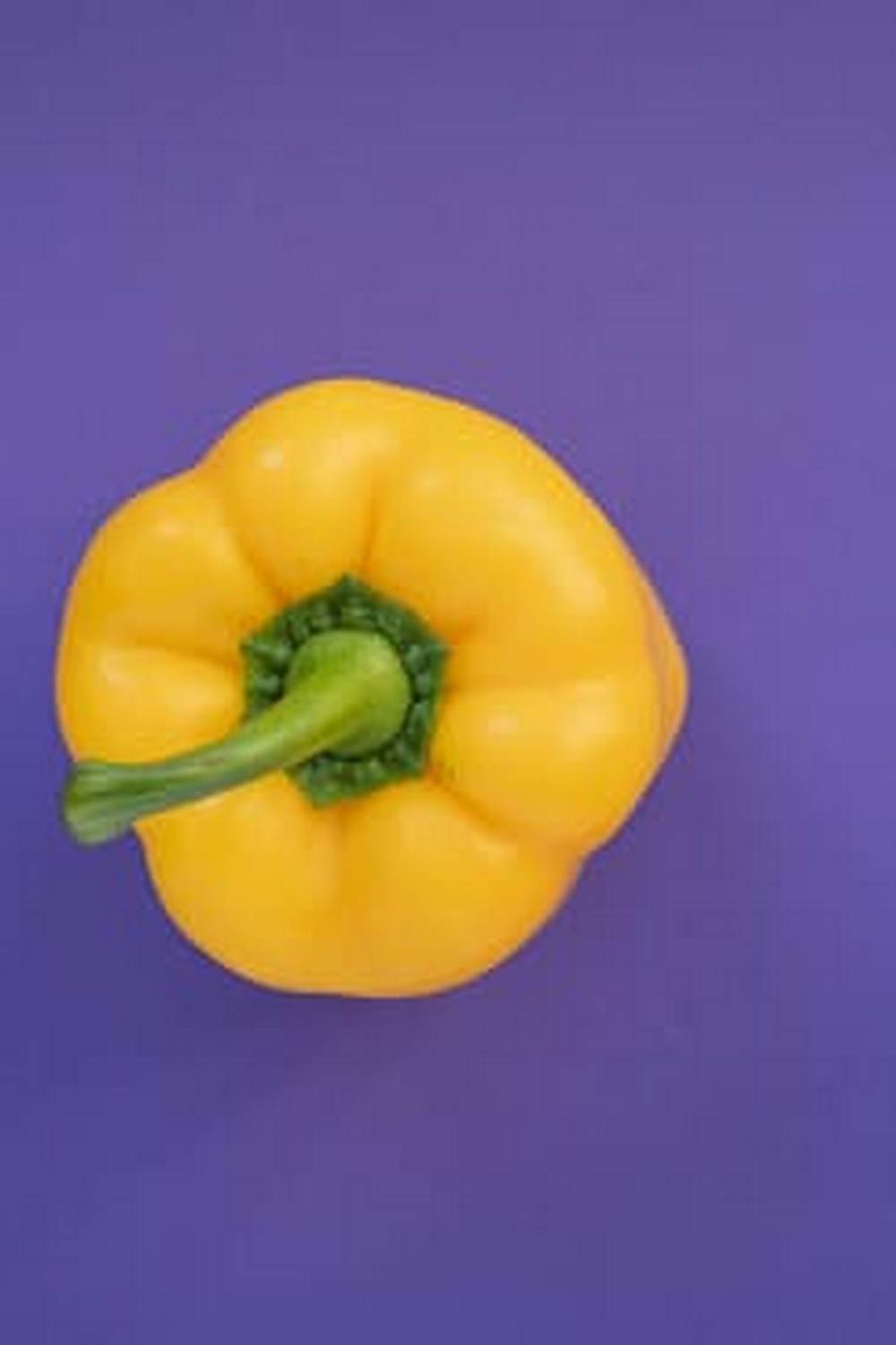 A colorful, space-saving oasis of fresh produce and vibrant blooms